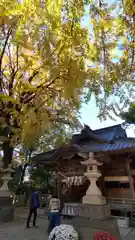 田無神社の本殿