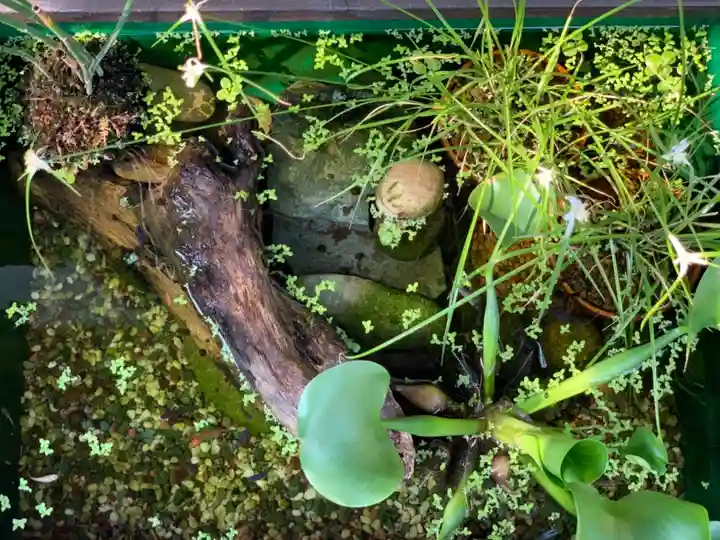 八坂寺のその他建物