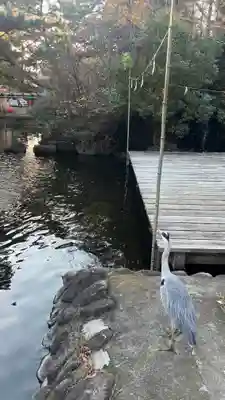平塚八幡宮(神奈川県)