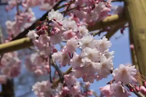 玉田神社(京都府)