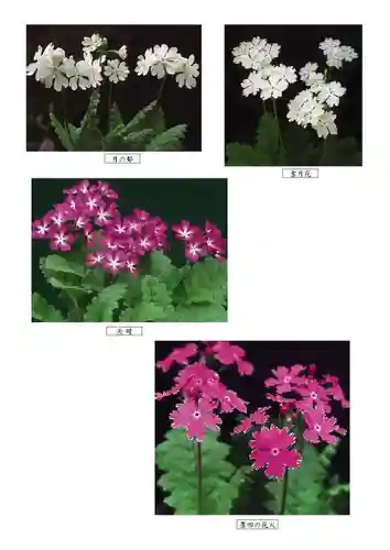 前原御嶽神社(千葉県)