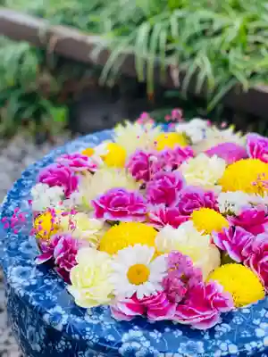 埼玉厄除け開運大師・龍泉寺（切り絵御朱印発祥の寺）(埼玉県)