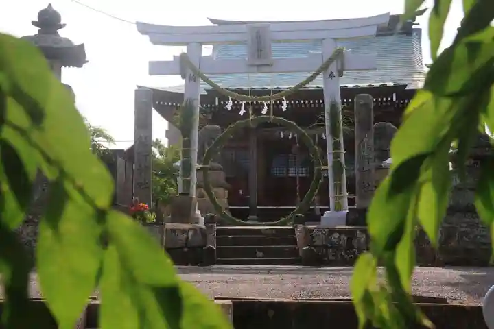 熊野福藏神社の鳥居