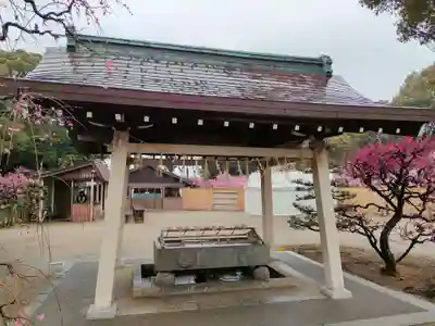 結城神社の手水舎