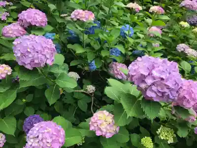 金剛輪寺(滋賀県)