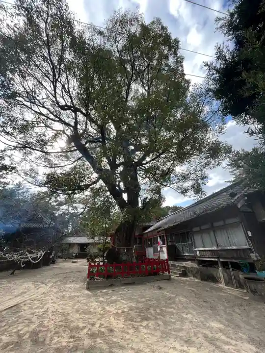 八幡奈多宮(大分県)