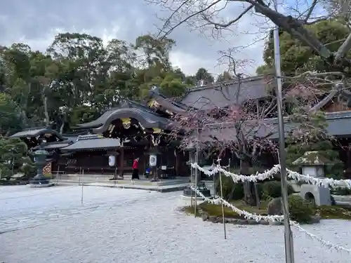 今宮神社の本殿・本堂