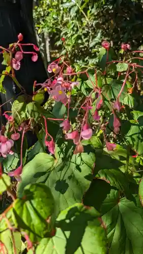 長法寺(京都府)