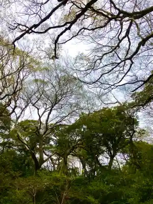 八坂神社(千葉県)