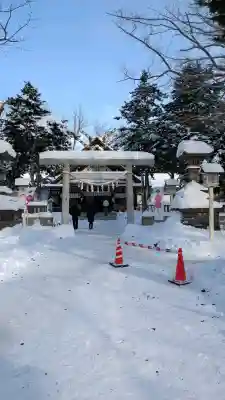 新琴似神社の{uncategorized: "未分類", other: "その他", undefined: "問題あり", building: "その他建物", grave: "お墓", sacred_gate: "鳥居", guardian: "狛犬", statue: "像", buddha: "仏像", history: "歴史", nature: "自然", garden: "庭園", animal: "動物", pagoda: "塔", temizu: "手水舎", mountain_gate: "山門・神門", sanctuary: "本殿・本堂", subordinate: "末社・摂社", art: "芸術", scenery: "景色", jizo: "地蔵", ema: "絵馬", goshuin: "御朱印", omikuji: "おみくじ", items: "授与品その他", amulet: "お守り", goshuincho: "御朱印帳", eats: "食事", festival: "お祭り", votive_dance: "神楽", shichigosan: "七五三参", wedding: "結婚式", experience: "体験その他", initially: "初詣", around: "周辺", anti_infection: "感染症対策"}