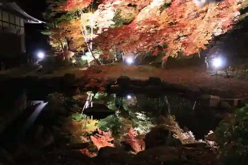 真照寺の庭園