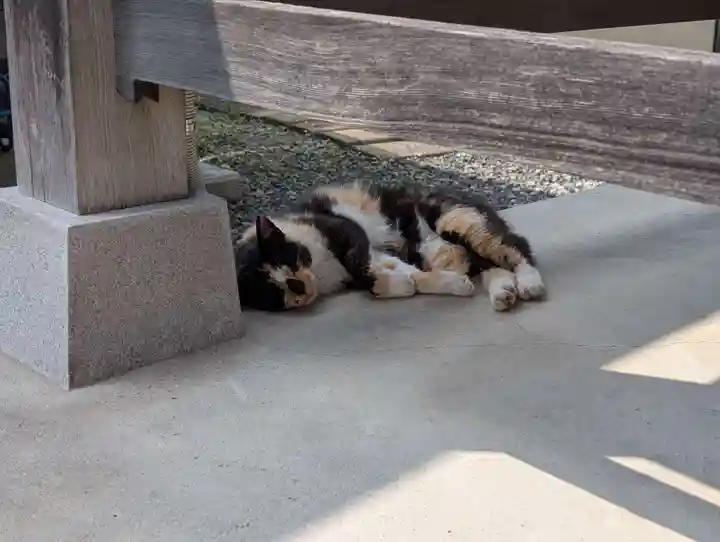 西泉寺(福島県)