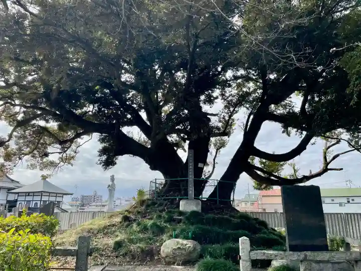 最勝院の{uncategorized: "未分類", other: "その他", undefined: "問題あり", building: "その他建物", grave: "お墓", sacred_gate: "鳥居", guardian: "狛犬", statue: "像", buddha: "仏像", history: "歴史", nature: "自然", garden: "庭園", animal: "動物", pagoda: "塔", temizu: "手水舎", mountain_gate: "山門・神門", sanctuary: "本殿・本堂", subordinate: "末社・摂社", art: "芸術", scenery: "景色", jizo: "地蔵", ema: "絵馬", goshuin: "御朱印", omikuji: "おみくじ", items: "授与品その他", amulet: "お守り", goshuincho: "御朱印帳", eats: "食事", festival: "お祭り", votive_dance: "神楽", shichigosan: "七五三参", wedding: "結婚式", experience: "体験その他", initially: "初詣", around: "周辺", anti_infection: "感染症対策"}