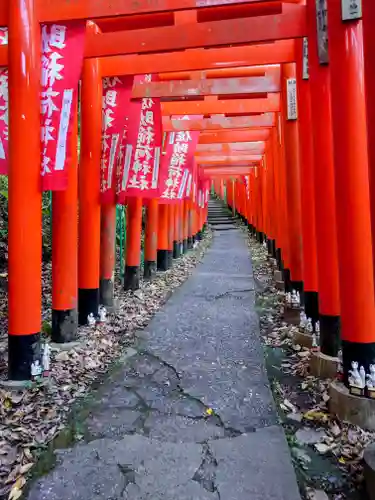 佐助稲荷神社の鳥居