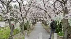 孫太郎稲荷神社（薬師寺境内社）の自然