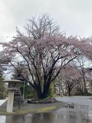 住吉神社の自然