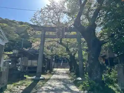 春日神社の{uncategorized: "未分類", other: "その他", undefined: "問題あり", building: "その他建物", grave: "お墓", sacred_gate: "鳥居", guardian: "狛犬", statue: "像", buddha: "仏像", history: "歴史", nature: "自然", garden: "庭園", animal: "動物", pagoda: "塔", temizu: "手水舎", mountain_gate: "山門・神門", sanctuary: "本殿・本堂", subordinate: "末社・摂社", art: "芸術", scenery: "景色", jizo: "地蔵", ema: "絵馬", goshuin: "御朱印", omikuji: "おみくじ", items: "授与品その他", amulet: "お守り", goshuincho: "御朱印帳", eats: "食事", festival: "お祭り", votive_dance: "神楽", shichigosan: "七五三参", wedding: "結婚式", experience: "体験その他", initially: "初詣", around: "周辺", anti_infection: "感染症対策"}