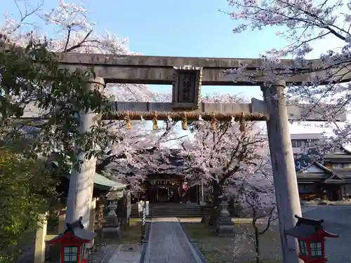  湊八幡神社(福井県)