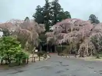 長光寺(千葉県)