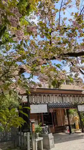 白峯神宮(京都府)