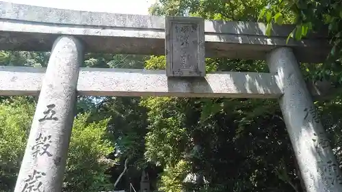 神護國崎八幡神社の鳥居