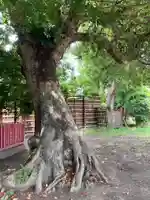 正一位稲荷大明神(築山稲荷社)(神奈川県)