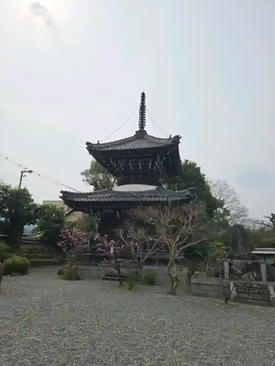 穴太寺の{uncategorized: "未分類", other: "その他", undefined: "問題あり", building: "その他建物", grave: "お墓", sacred_gate: "鳥居", guardian: "狛犬", statue: "像", buddha: "仏像", history: "歴史", nature: "自然", garden: "庭園", animal: "動物", pagoda: "塔", temizu: "手水舎", mountain_gate: "山門・神門", sanctuary: "本殿・本堂", subordinate: "末社・摂社", art: "芸術", scenery: "景色", jizo: "地蔵", ema: "絵馬", goshuin: "御朱印", omikuji: "おみくじ", items: "授与品その他", amulet: "お守り", goshuincho: "御朱印帳", eats: "食事", festival: "お祭り", votive_dance: "神楽", shichigosan: "七五三参", wedding: "結婚式", experience: "体験その他", initially: "初詣", around: "周辺", anti_infection: "感染症対策"}