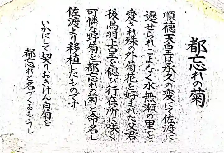 水無瀬神宮の御朱印