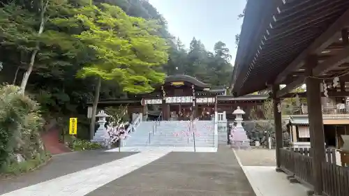 高麗神社の{uncategorized: "未分類", other: "その他", undefined: "問題あり", building: "その他建物", grave: "お墓", sacred_gate: "鳥居", guardian: "狛犬", statue: "像", buddha: "仏像", history: "歴史", nature: "自然", garden: "庭園", animal: "動物", pagoda: "塔", temizu: "手水舎", mountain_gate: "山門・神門", sanctuary: "本殿・本堂", subordinate: "末社・摂社", art: "芸術", scenery: "景色", jizo: "地蔵", ema: "絵馬", goshuin: "御朱印", omikuji: "おみくじ", items: "授与品その他", amulet: "お守り", goshuincho: "御朱印帳", eats: "食事", festival: "お祭り", votive_dance: "神楽", shichigosan: "七五三参", wedding: "結婚式", experience: "体験その他", initially: "初詣", around: "周辺", anti_infection: "感染症対策"}