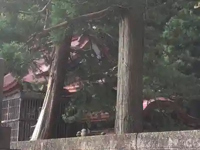 天徳寺(秋田県)