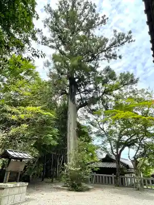 吉御子神社(滋賀県)