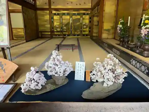 仁和寺(京都府)