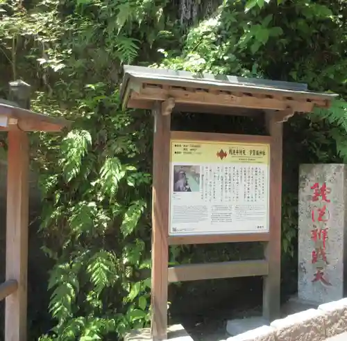 銭洗弁財天宇賀福神社(神奈川県)