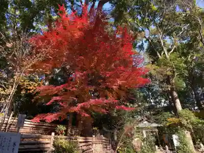 平塚八幡宮(神奈川県)