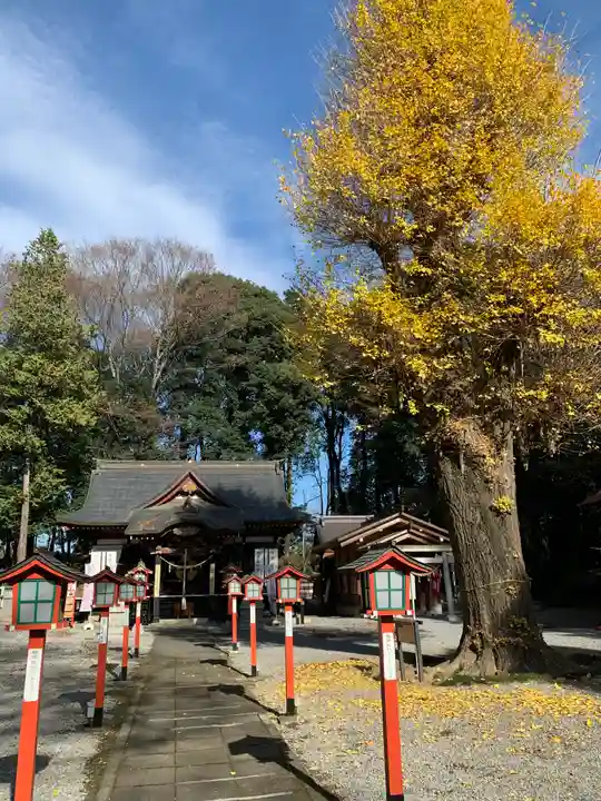 薬師寺八幡宮の本殿・本堂