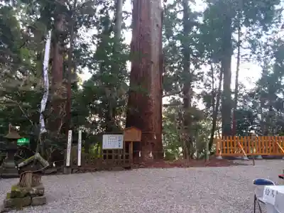 高千穂神社(宮崎県)