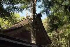 若狭彦神社（上社）の本殿