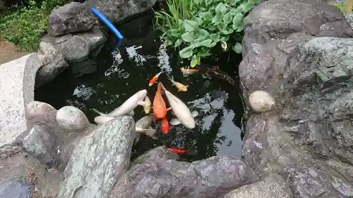 尾張猿田彦神社の庭園