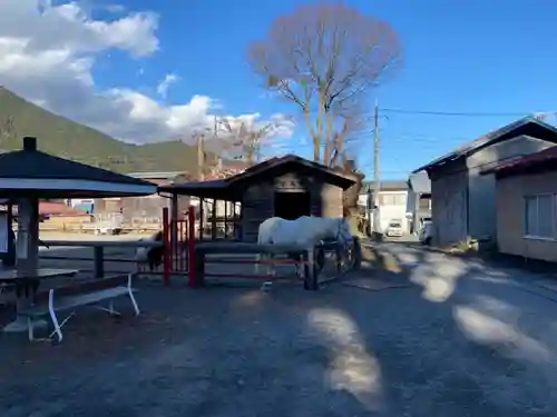 小室浅間神社の動物
