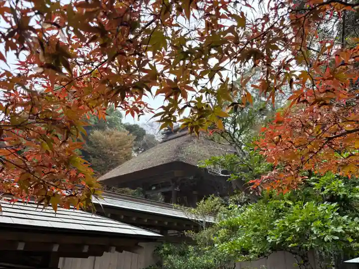 大洗磯前神社の本殿・本堂