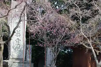 諏訪神社(長崎県)