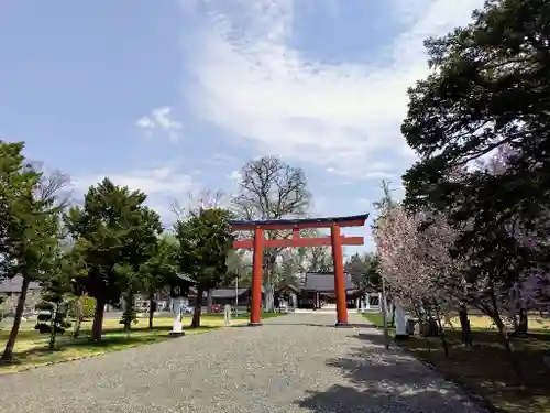 北海道護國神社の鳥居