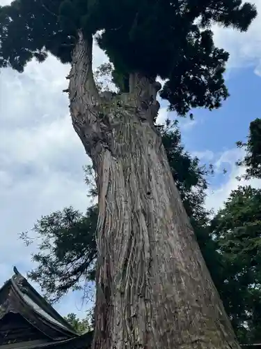 松尾寺(京都府)