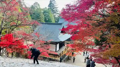 神護寺(京都府)