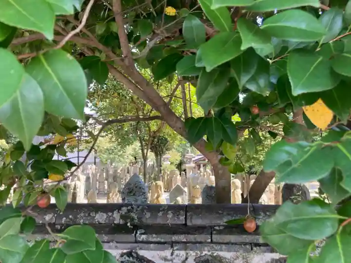 羅漢寺(兵庫県)