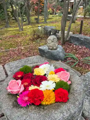 勝林寺(京都府)