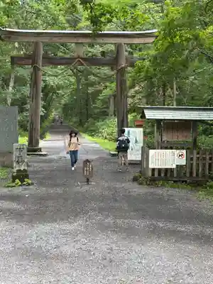 戸隠神社奥社(長野県)