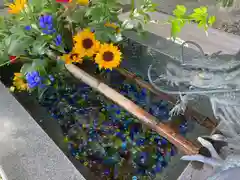 東海市熊野神社の手水