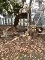 七所神社の自然