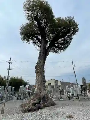 永福寺の{uncategorized: "未分類", other: "その他", undefined: "問題あり", building: "その他建物", grave: "お墓", sacred_gate: "鳥居", guardian: "狛犬", statue: "像", buddha: "仏像", history: "歴史", nature: "自然", garden: "庭園", animal: "動物", pagoda: "塔", temizu: "手水舎", mountain_gate: "山門・神門", sanctuary: "本殿・本堂", subordinate: "末社・摂社", art: "芸術", scenery: "景色", jizo: "地蔵", ema: "絵馬", goshuin: "御朱印", omikuji: "おみくじ", items: "授与品その他", amulet: "お守り", goshuincho: "御朱印帳", eats: "食事", festival: "お祭り", votive_dance: "神楽", shichigosan: "七五三参", wedding: "結婚式", experience: "体験その他", initially: "初詣", around: "周辺", anti_infection: "感染症対策"}